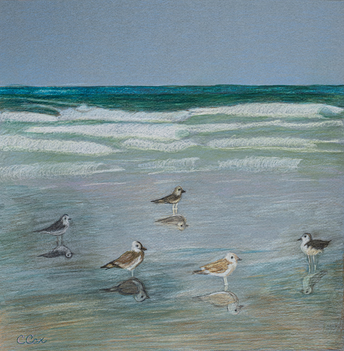 Sunning Seagulls, 2026, colored pencil, 12 x 12 in. / 30.48 x 30.48 cm.
