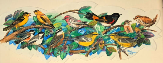 Backyard Friends, 2024, watercolor and ink, 10 x 20 in. / 25.4 x 50.8 cm.