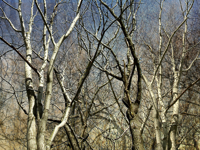 Untitled, 2006, archival giclee, 18 x 24 in. / 45.72 x 60.96 cm.