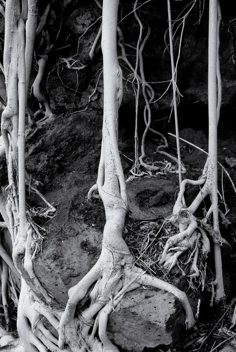 At Land's End, 2015, photography, 11 x 16 in. / 27.94 x 40.64 cm.