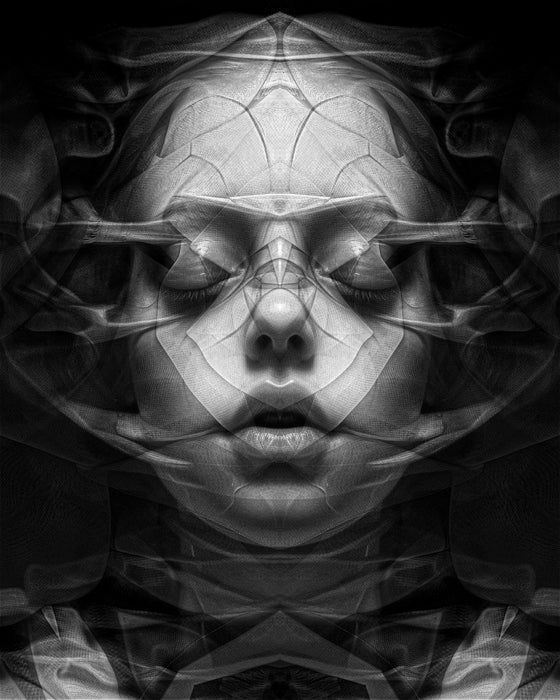 Fabric Portrait: No. 2,580 (Ex Tenebris Lux), 2024, mixed media, 20 x 16 in. / 50.8 x 40.64 cm.