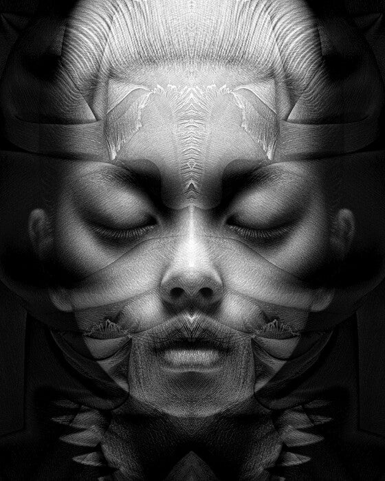 Fabric Portrait: No. 2,589 (Ex Tenebris Lux), 2024, mixed media, 20 x 16 in. / 50.8 x 40.64 cm.