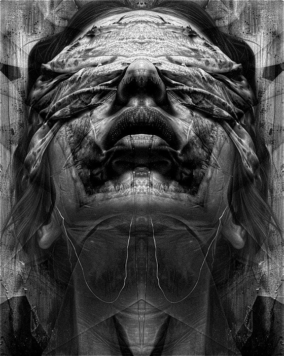 Fabric Portrait: No. 2,592 (Ex Tenebris Lux), 2024, mixed media, 20 x 16 in. / 50.8 x 40.64 cm.