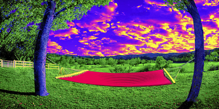 Easy Living, 2017, photography photoshop enhanced, 20 x 40 in. / 50.8 x 101.6 cm.