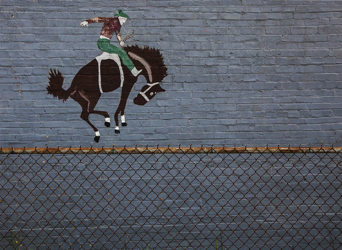 Bucky, 2017, photography, 24 x 30 in. / 60.96 x 76.2 cm.