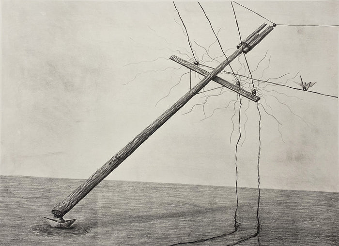 330/38, 2020, lithography, 26 x 20 in. / 66.04 x 50.8 cm.