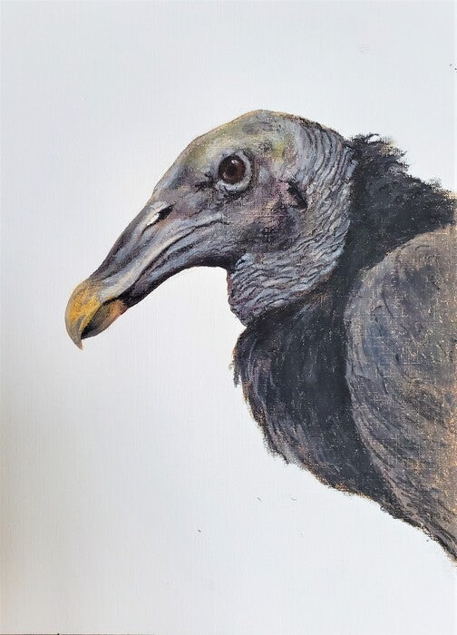 American Black Vulture, 2021, oil pastels on canvas paper, 14 x 11 in. / 35.56 x 27.94 cm.
