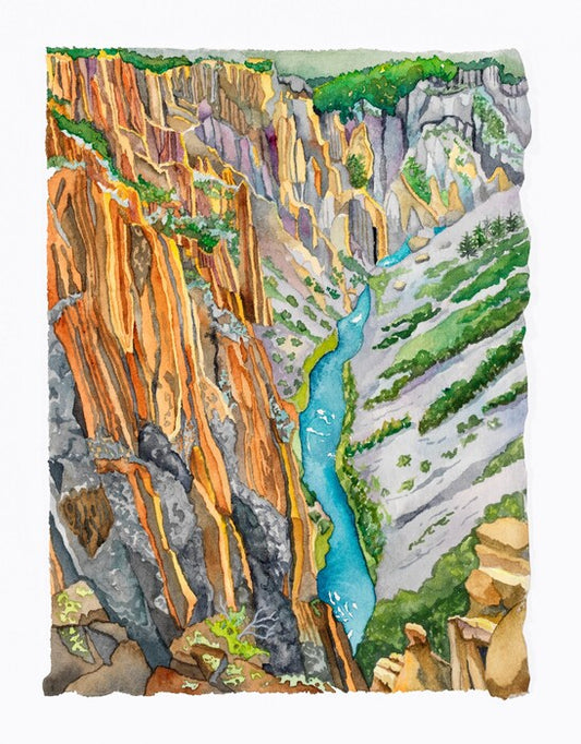 Raucous (Black Canyon of the Gunnison NP), 2022, watercolor, 11 x 9 in. / 27.94 x 22.86 cm.