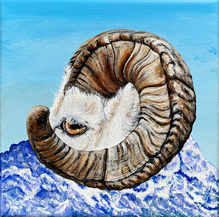 Dall Sheep, 2022, acrylic on canvas, 8 x 8 in. / 20.32 x 20.32 cm.
