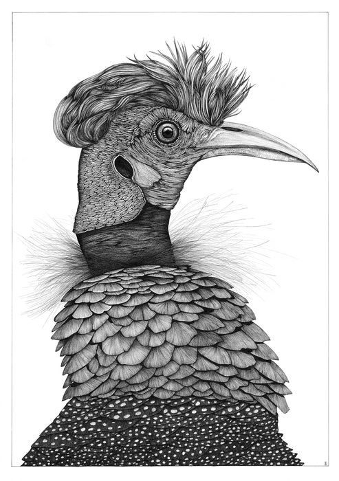 Tony the Punk, Crested Guinea Fowl, 2022, ink on paper, 22 x 30 in. / 55.88 x 76.2 cm.