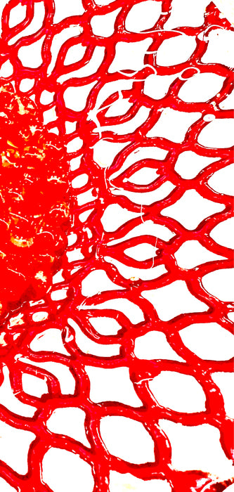 The Vein, 2023, digital media, 8 x 16 in. / 20.32 x 40.64 cm.