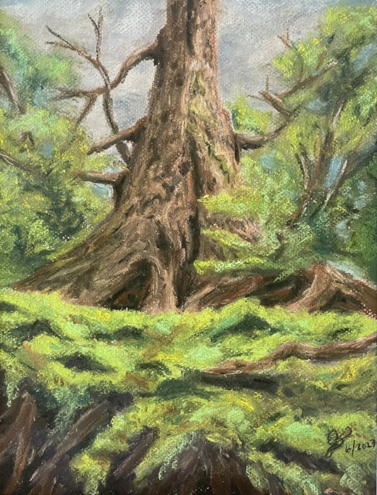 Glacier Beauty, 2023, soft pastels, 14 x 11 in. / 35.56 x 27.94 cm.