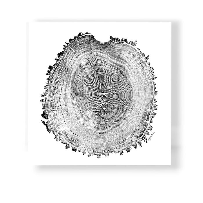 The Mighty Oak, 2023, mixed media, 30 x 28 in. / 76.2 x 71.12 cm.