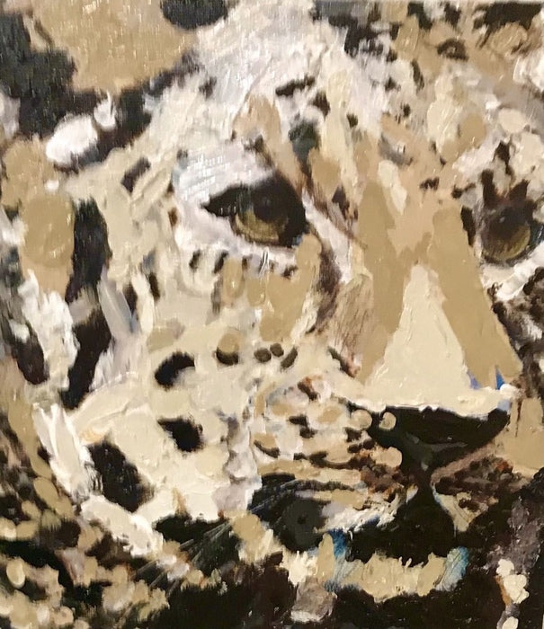 Cheetah, 2023, oil on canvas, 8 x 8 in. / 20.32 x 20.32 cm.