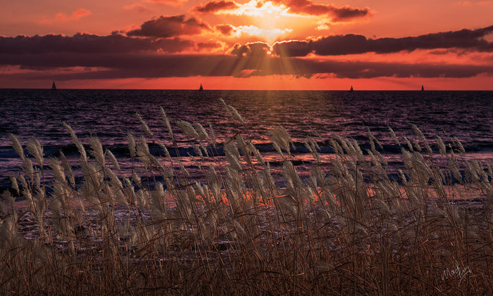 Beach Sunset, 2020, photography, 14 x 11 in. / 35.56 x 27.94 cm.