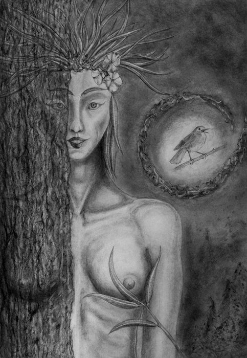 Dryad Erato Conjures a Nightingale, 2022, graphite on archival mat board, 19 x 27 in. / 48.26 x 68.58 cm.