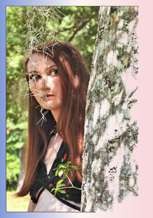 Sprig of Moss, Twig of Oak, and Cherry Top, 2024, digital photography, 14 x 20 in. / 35.56 x 50.8 cm.