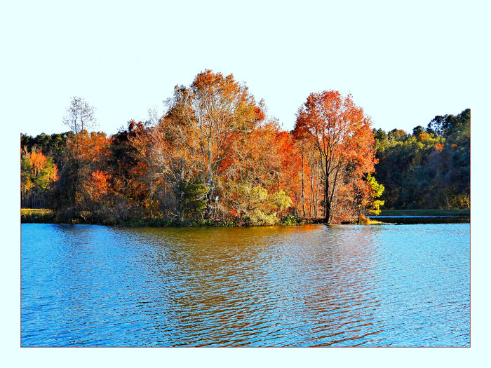 Piney Z Lake Island, 2024, digital photography, 18 x 24 in. / 45.72 x 60.96 cm.