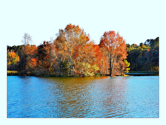 Piney Z Lake Island, 2024, digital photography, 18 x 24 in. / 45.72 x 60.96 cm.