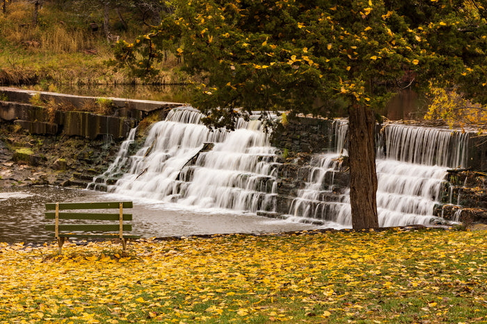 Remembering Fall, 2023, framed canvas, 20 x 30 in. / 50.8 x 76.2 cm.