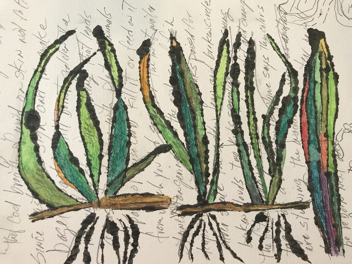 Seagrass Diary, 2022, watercolor, ink and text, 12 x 16 in. / 30.48 x 40.64 cm.
