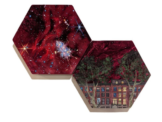 Light-Years Away, 2025, acrylic on reclaimed velvet, 15 x 20 in. / 38.1 x 50.8 cm.