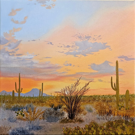 Sonoran Sunrise, 2025, oil, 12 x 12 in. / 30.48 x 30.48 cm.