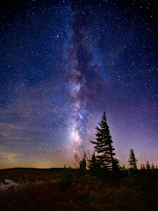 Reach for the Stars, 2023, photography, 8 x 6 in. / 20.32 x 15.24 cm.