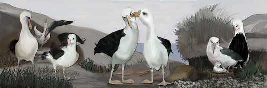 Kinder Albatross Island, 2025, graphic watercolor, 10 x 30 in. / 25.4 x 76.2 cm.