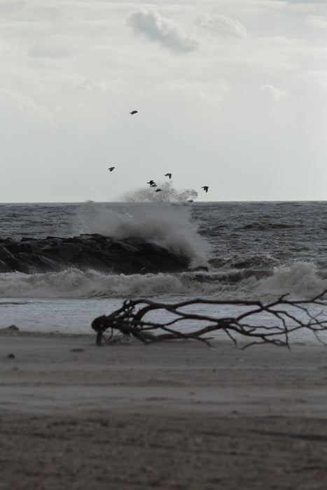 Nickerson Beach, December, 2019, photography, 9 x 12 in. / 22.86 x 30.48 cm.