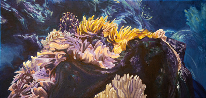Underwater Study - Anemone and Soft Coral, 2025, oil on linen, 12 x 25 in. / 30.48 x 63.5 cm.