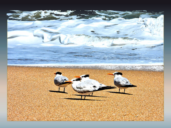 Beach Foam, 2025, digital photographic art print, 18 x 24 in. / 45.72 x 60.96 cm.