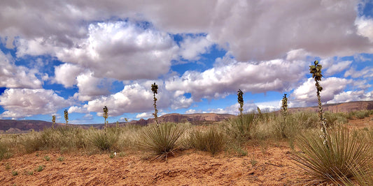 Desert Skyline, 2024, photography, 10 x 20 in. / 25.4 x 50.8 cm.