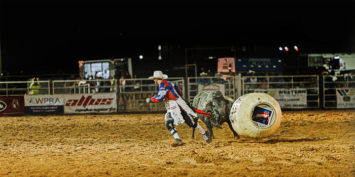 Bull's Eye, 2024, photography, 10 x 20 in. / 25.4 x 50.8 cm.