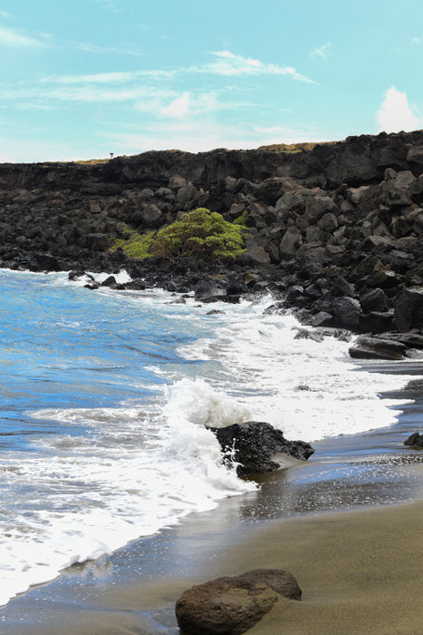 Life, 2022, photography, 16 x 16 in. / 40.64 x 40.64 cm.