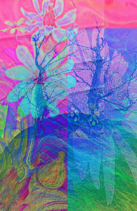 A BURST OF SPRING, 2025, digital photo, 17 x 11 in. / 43.18 x 27.94 cm.