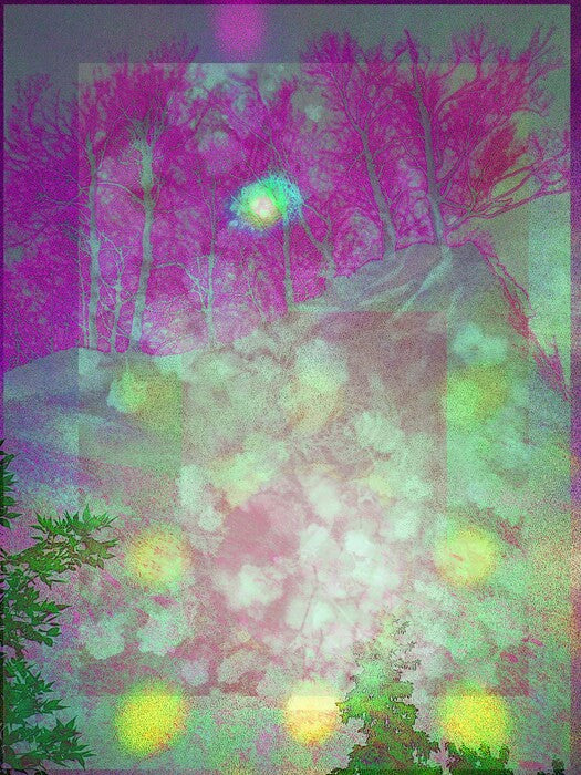 FLOWERS ON THE HILL, 2025, digital photo, 11 x 15 in. / 27.94 x 38.1 cm.