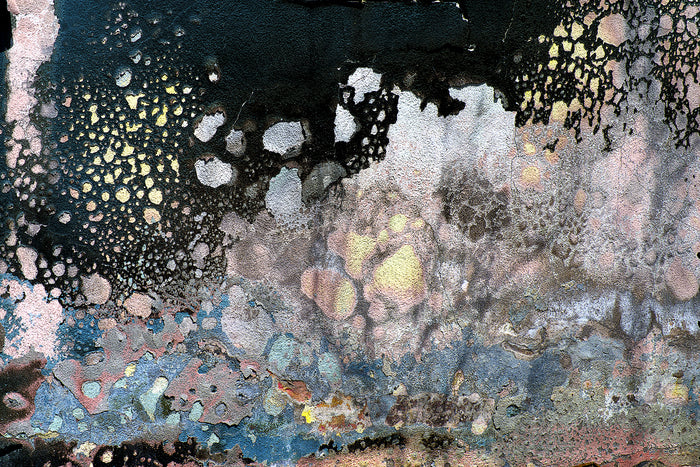 Freedom, Residue of the Eaton Fire, Altadena, 2025, archival pigment ink print, 13 x 19 in. / 33.02 x 48.26 cm.