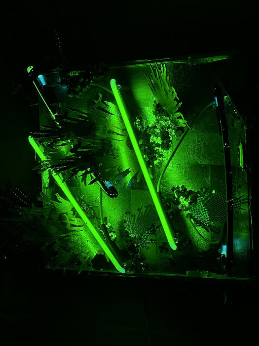 Detritivores Dilemma, 2020, mixed media, 24 x 24 x 8 in. / 60.96 x 60.96 x 20.32 cm.