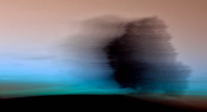 The Tree, 2024, digital photography, 45 x 80 cm. / 17.7 x 31 in.