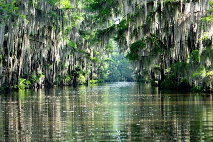 Government Ditch Caddo Canal, 2025, photography, 38 x 28 in. / 96.52 x 71.12 cm.