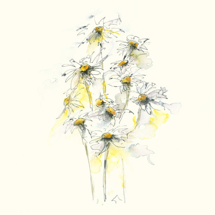 Daisy Daisy, 2025, watercolor, 17 x 12 in. / 43.18 x 30.48 cm.