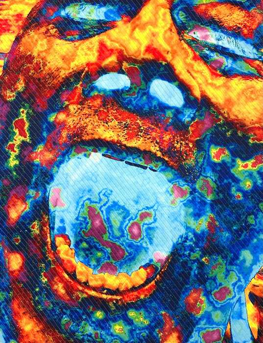 Ignite, 2025, art quilt, 36 x 27 in. / 91.44 x 68.58 cm.