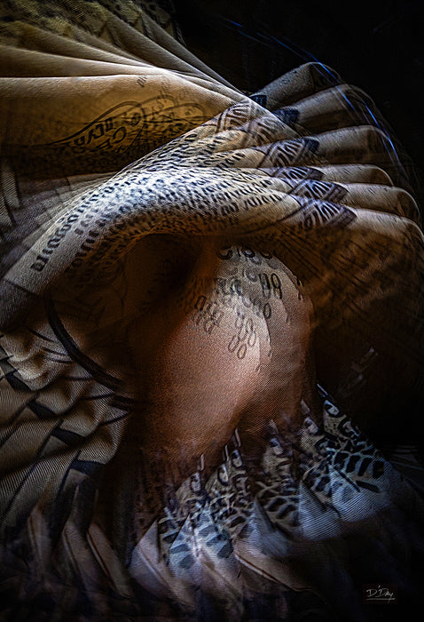 Reverberations, 2025, archival ink print, 13 x 19 in. / 33.02 x 48.26 cm.