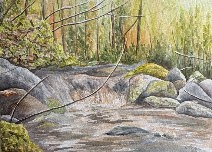 Woodland Creek, 2024, watercolor on paper, 10 x 23 in. / 25.4 x 58.42 cm.