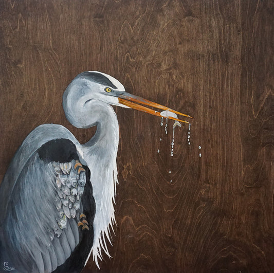 Borrowed Plumage, 2025, oil on wood panel, 24 x 24 in. / 60.96 x 60.96 cm.
