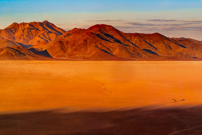 Lone Tree at Desert Sunrise, 2024, photography, 16 x 24 in. / 40.64 x 60.96 cm.