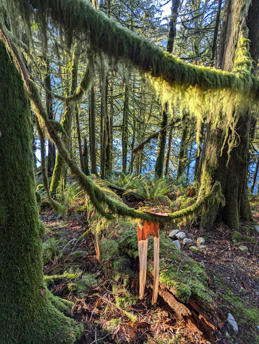 Seamless: Forest, 2024, giclee print, 30 x 20 in. / 76.2 x 50.8 cm.