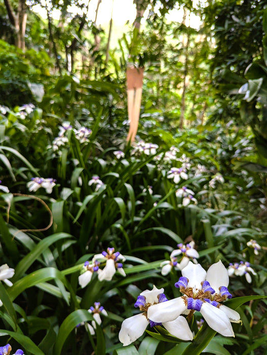 Seamless: Jungle, 2024, giclee print, 30 x 20 in. / 76.2 x 50.8 cm.