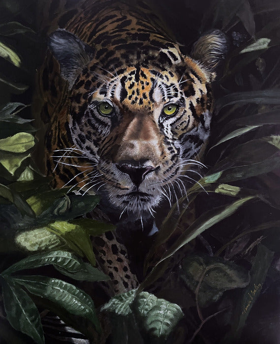 Jaguar Hunting, 2023, oil, 20 x 16 in. / 50.8 x 40.64 cm.